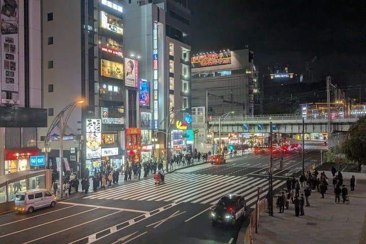 Shimbashi Hidden Izakaya Tour with a Working Tokyo Manager — photo 19