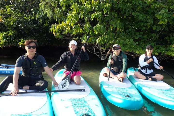 Hidden Jungle Mangrove SUP in Miyakojima (English tour) — photo 3