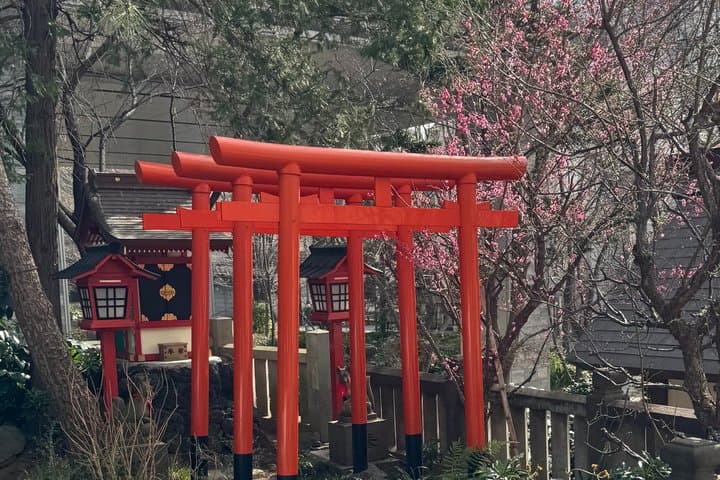 Tokyo Walk & Talk: Speak Real Japanese in Everyday Life — photo 5