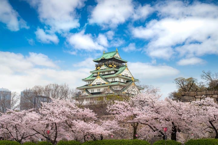 Kyoto Private Full Day Tour with English Speaking Driver — photo 9