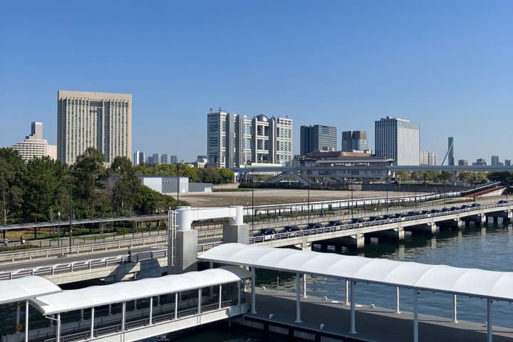 Tokyo Private Airport Transfer — photo 8