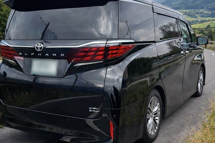 Tokyo Private Airport Transfer — photo 6