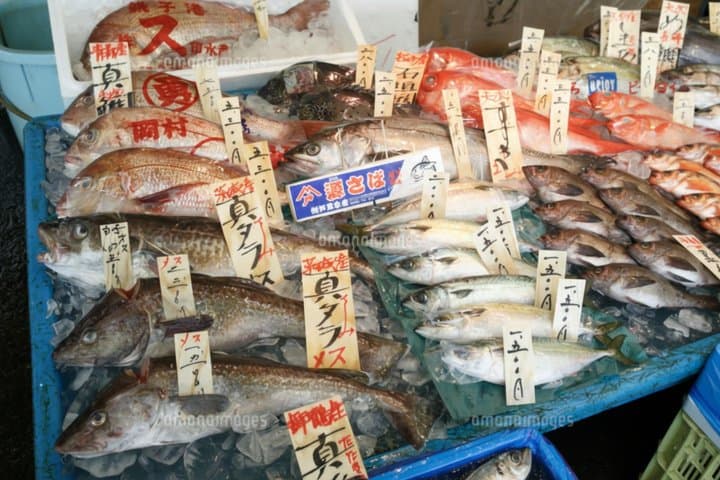 Niigata Private Custom Tour with Local Guide — photo 3