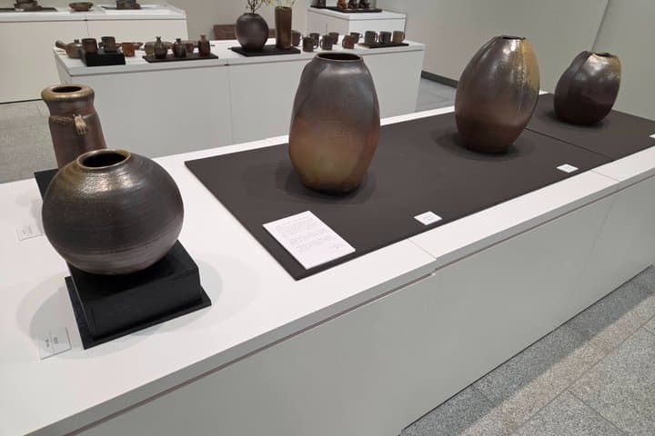 Okayama: Bizen Ware Story & Pottery Discovery Tour — photo 7