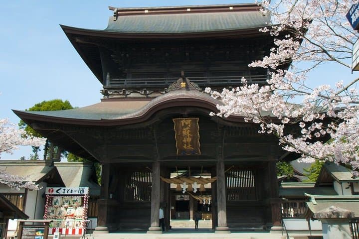 Historic and moving visits to Kumamoto Castle and Suizenji Park — photo 11