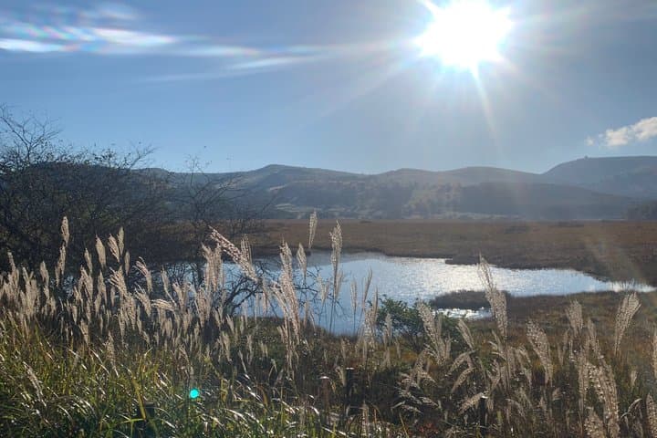 Private Guided Kirigamine Tour in Nagano: Marsh Walk & Lunch — photo 18