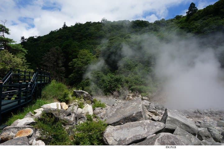 Kirishima Full-Day Private Tour from Kagoshima — photo 4