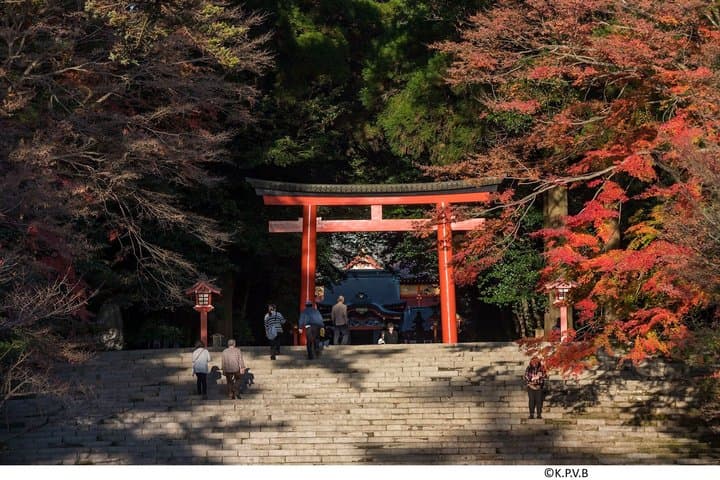 Kirishima Full-Day Private Tour from Kagoshima — photo 2