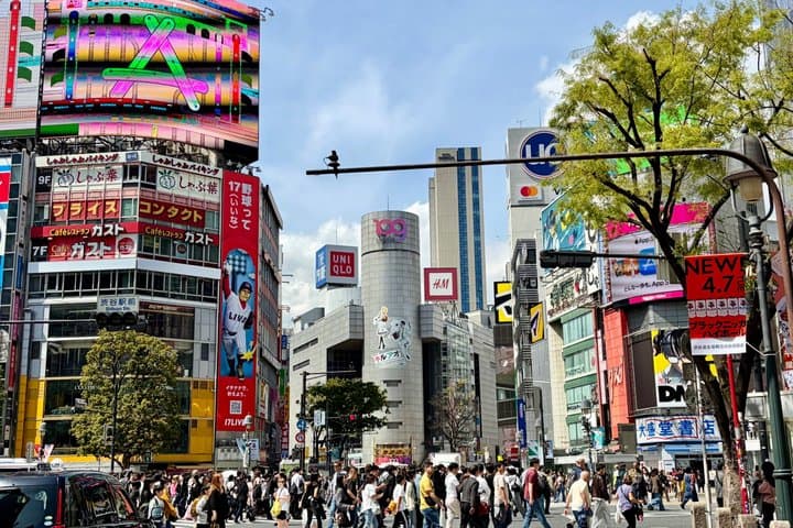 Tokyo Private Half-Day Highlights Tour by Car with Guide — photo 11