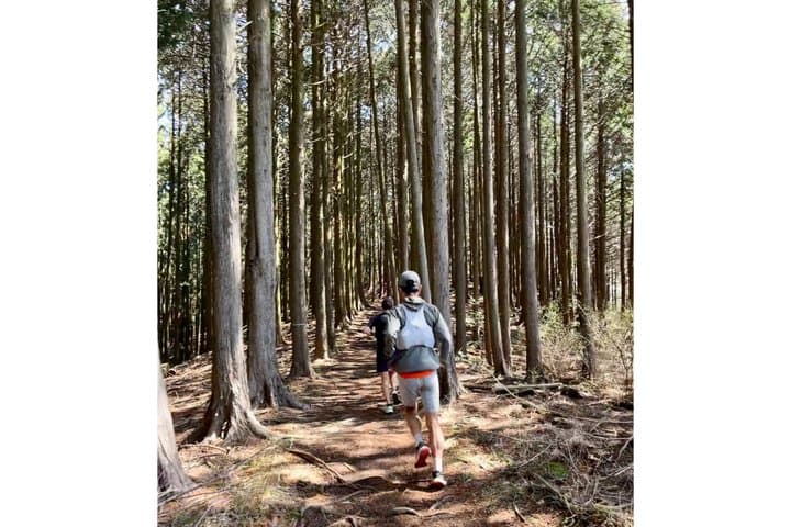 Tokyo: Mt. Takao Hidden Gem Hike & Summit Ramen (Gear Included) — photo 7