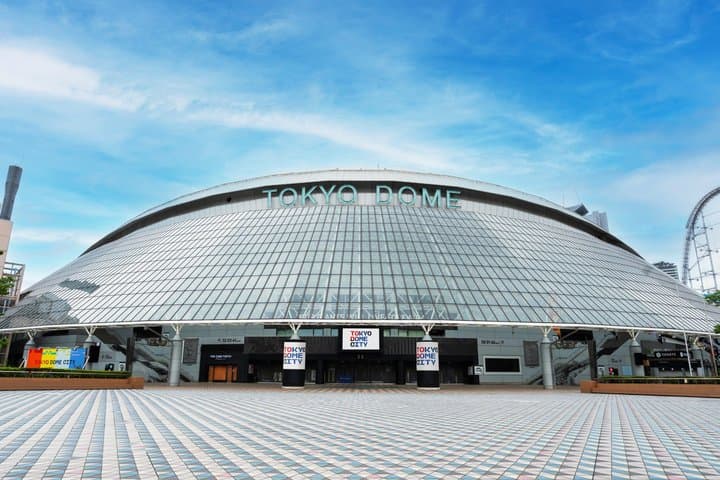 Tokyo Dome Field Access Museum and Batting Challenge — photo 3