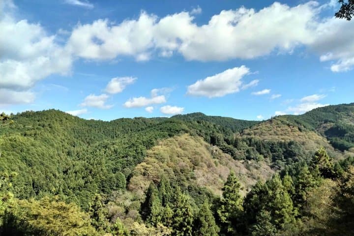 Yoshino to Kumano 2 Day Private Multi day Tours — photo 7
