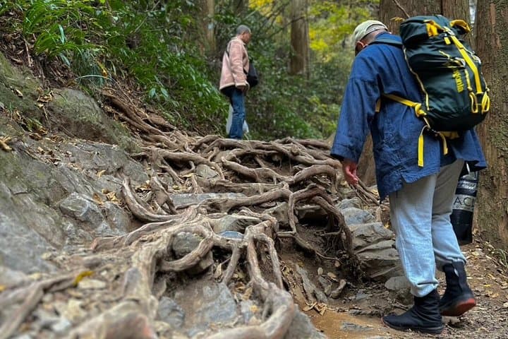 Samurai Guide Sho’s Mt. Takao Hike, Temple & Spa from Shinjuku — photo 5