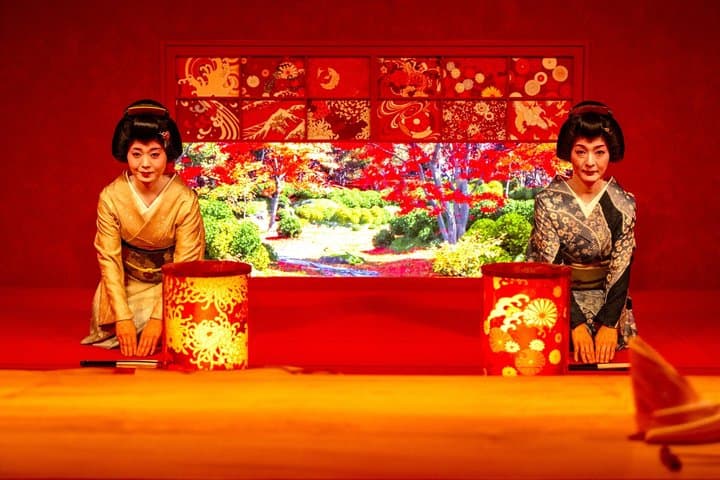 Tokyo Traditional Geisha Show and Japanese Food Experience — photo 10
