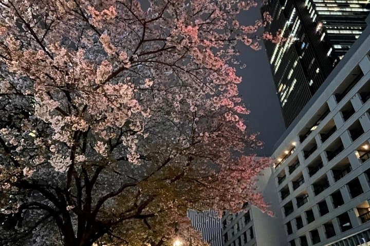 2-Hour Tokyo Night Bike Tour: Shibuya, City Lights & Tokyo Tower — photo 4