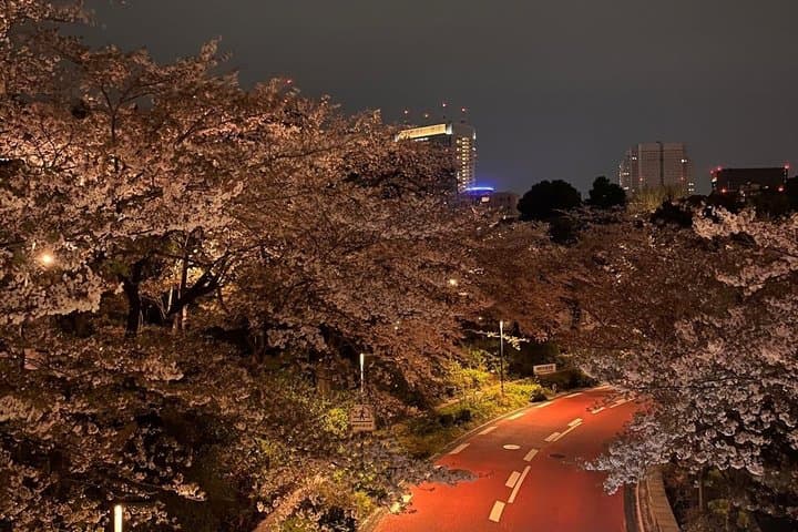 2-Hour Tokyo Night Bike Tour: Shibuya, City Lights & Tokyo Tower — photo 3
