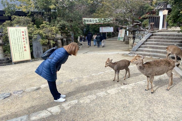 Nara Tour Experience Temples Park — photo 10