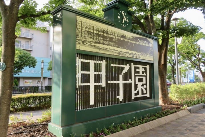 Hanshin Koshien Baseball Heritage Private Guide Tour — photo 6