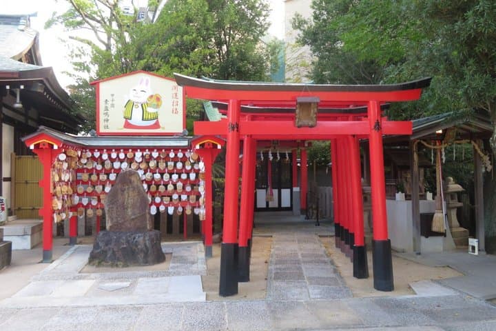 Hanshin Koshien Baseball Heritage Private Guide Tour — photo 8
