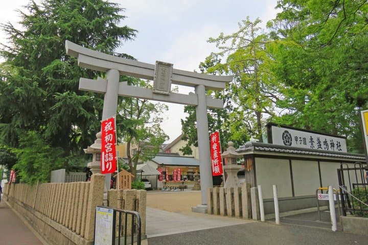 Hanshin Koshien Baseball Heritage Private Guide Tour — photo 2