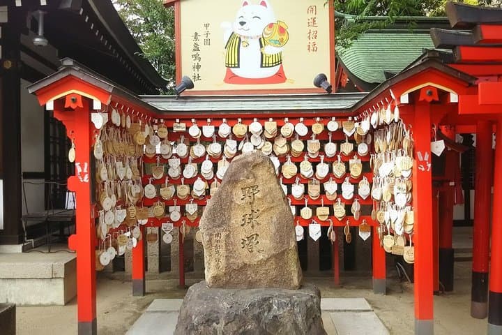 Hanshin Koshien Baseball Heritage Private Guide Tour — photo 4