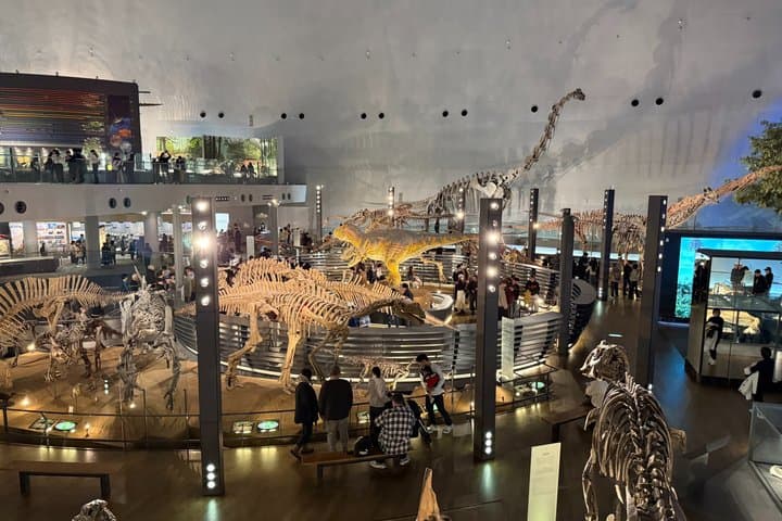 Kanazawa : World-Class Fukui Dinosaur Museum Small Group Tour — photo 5