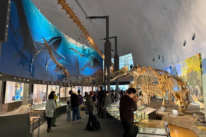 Kanazawa : World-Class Fukui Dinosaur Museum Small Group Tour — photo 8