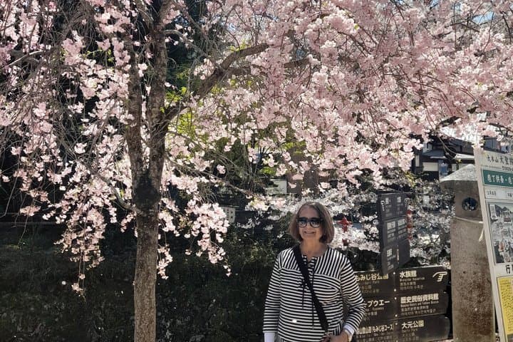 7 hours Private Customizable Walking Tour in Hiroshima