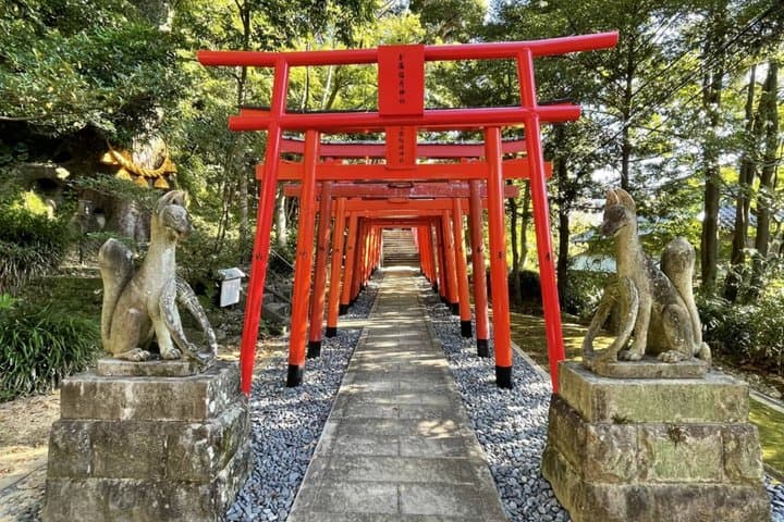 Dive into Local Life! Nagasaki Hillside Walking Tour (3 Hours) — photo 8