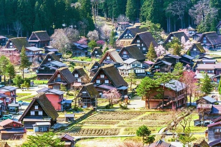 1 Day Tour of Shirakawa Go A Historic Village in Hida Takayama — photo 3