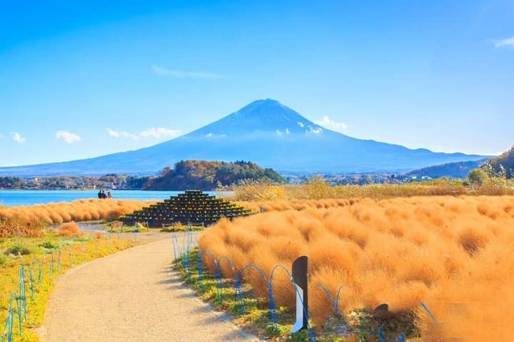 Mount Fuji Panoramic Ropeway and Lake Kawaguchi Day Trip — photo 7