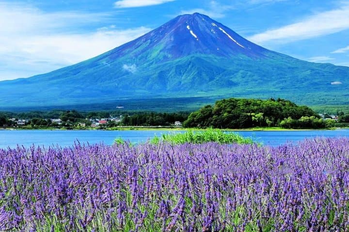 Mount Fuji Panoramic Ropeway and Lake Kawaguchi Day Trip — photo 1