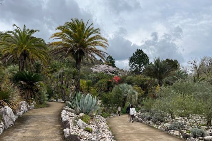 Kochi Monets Garden Tour Marmottanan Makino Botanical Garden — photo 11