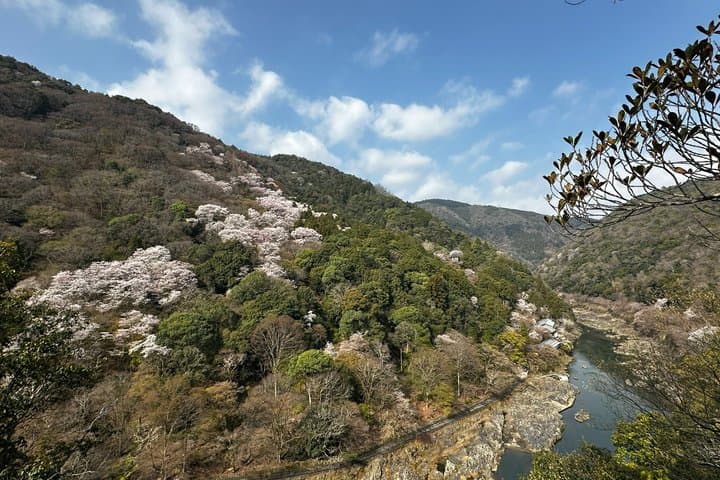 Kyoto Arashiyama Bamboo Walk & Relaxing Flower Foot Bath Massage — photo 5