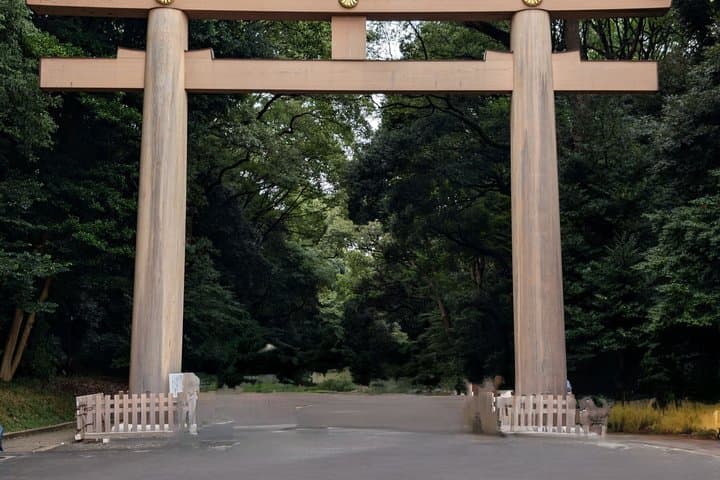Tokyo modern city - walking private tour — photo 4