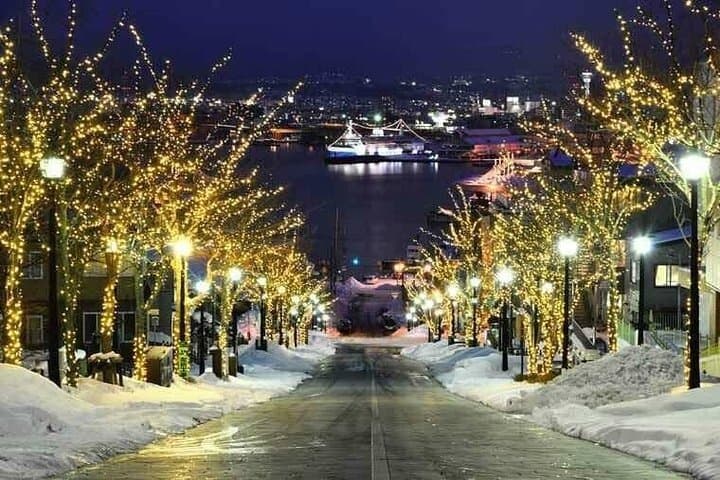 Hakodate Full Day Sightseeing Tour with Local Guide Private Car — photo 4