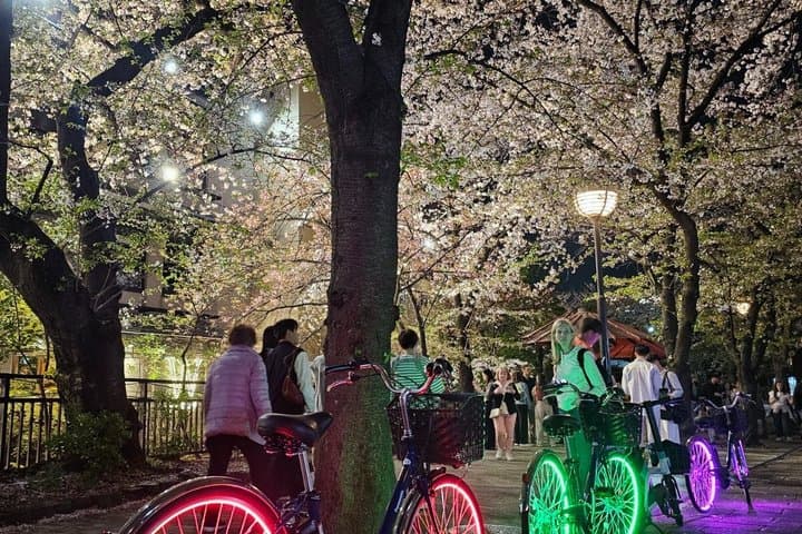 Kyoto: Private LED E-Bike Night Ride Through Gion — photo 3