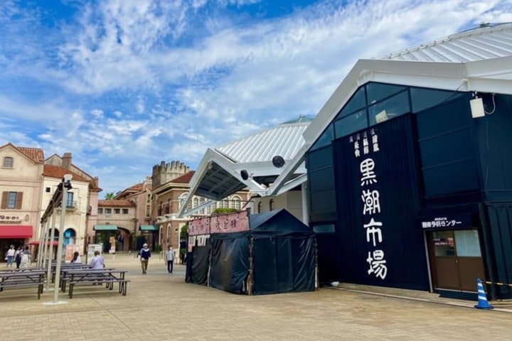 Wakayama: Private Custom Tour with Local Guide — photo 4