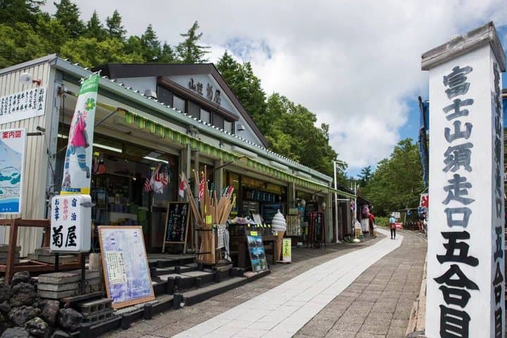 Mt. Fuji Two Lakes Swan Cruise and Hot Spring One Day Tour — photo 8