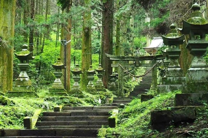 One Day Tour of Kamishikimi Kumanoimasu Shrine in Miyazaki — photo 2