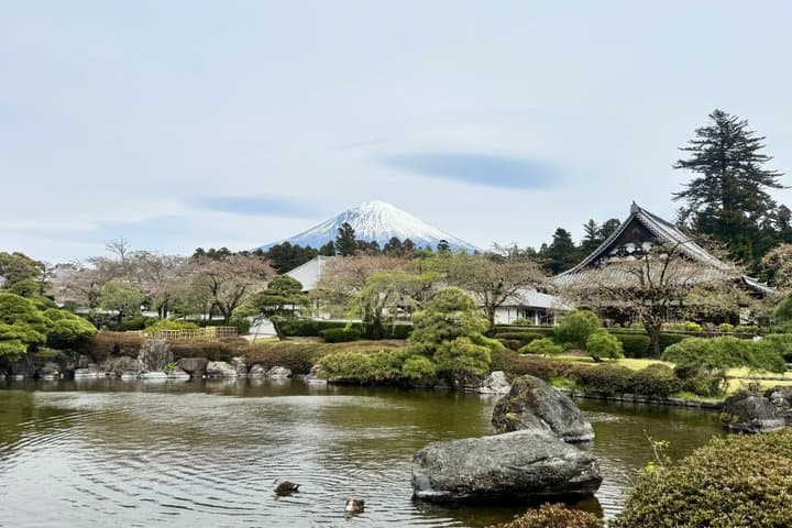 Mt Fuji Private Tour from Shin Fuji Station — photo 3