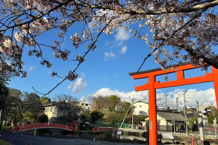 Mt Fuji Private Tour from Shin Fuji Station — photo 5