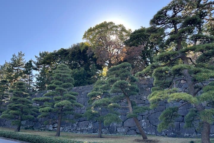 Tokyo: Imperial Palace and Shogun Historical Walking Tour — photo 7