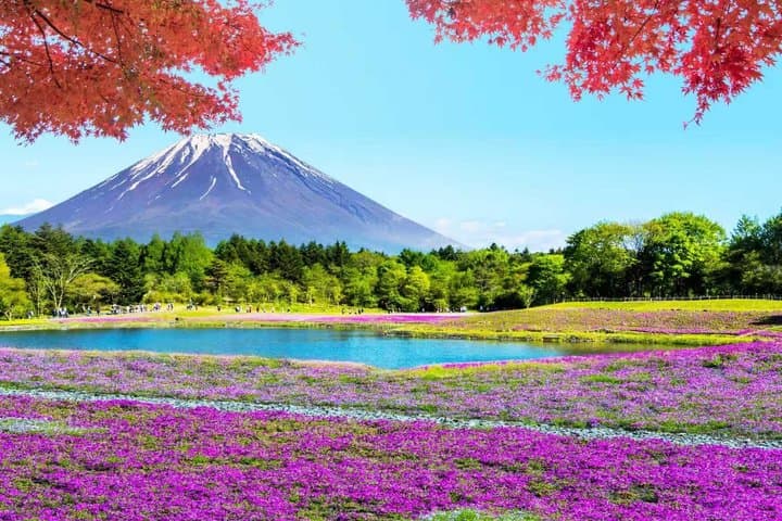 Mt. Fuji Two Lakes Swan Cruise and Hot Spring One Day Tour — photo 1