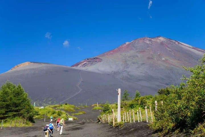 Mt. Fuji Two Lakes Swan Cruise and Hot Spring One Day Tour — photo 3