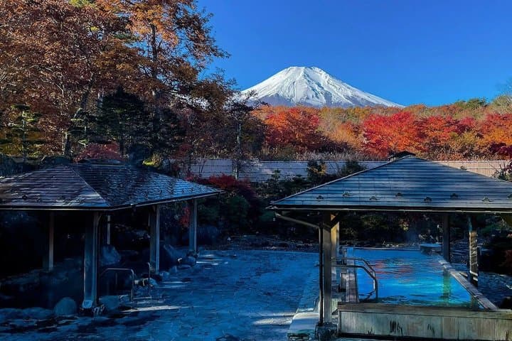 Mt. Fuji Two Lakes Swan Cruise and Hot Spring One Day Tour — photo 9