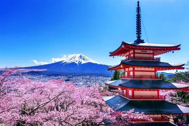 Mt. Fuji Two Lakes Swan Cruise and Hot Spring One Day Tour — photo 10