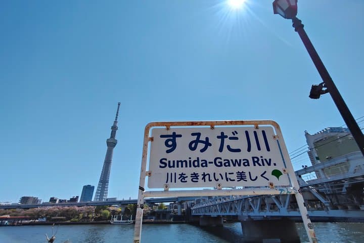 Tokyo Private Tour: One Day Highlights — photo 18