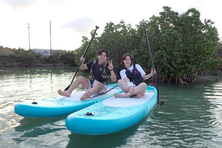 Hidden Jungle Mangrove SUP in Miyakojima (English tour) — photo 4