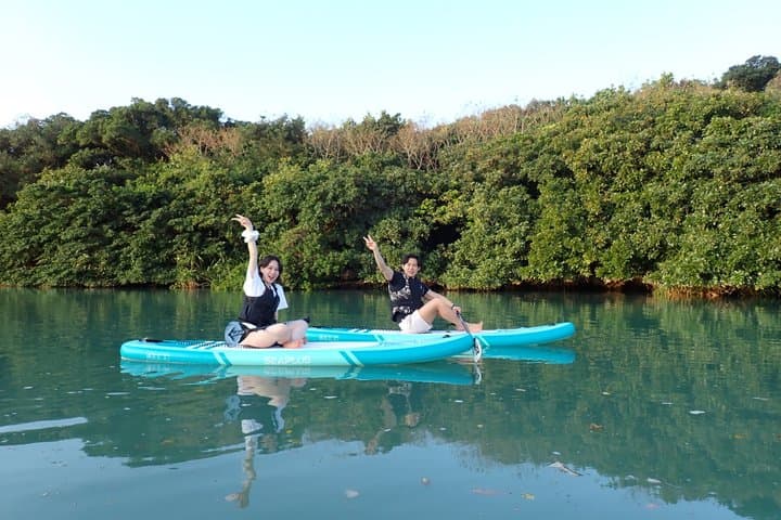 Hidden Jungle Mangrove SUP in Miyakojima (English tour) — photo 5